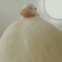 fantasticartmusicclam-blog avatar