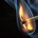 fantasticdreamerbanana avatar