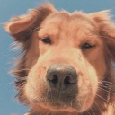 fantasticfierro avatar