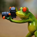 fantastickidblog avatar