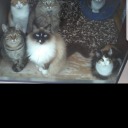 fantasticlawyerheroskeleton avatar