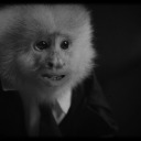 fantasticmxfox avatar