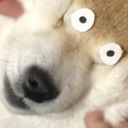 fantasticpeachnacho avatar