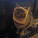 fantasticrascalbailifflawyer avatar