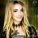 fantasticsoulcollector avatar