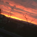 fantasticwsblog avatar