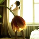 fantasy-disney-andthegoodthings avatar