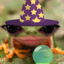 fantasy-frog avatar