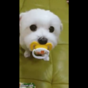 fantasy-is-my-reality-2 avatar