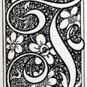 fantasy-observant avatar