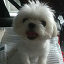 fantasyinmyworld-blog avatar