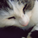 fantasymiracles-blog avatar