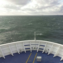 fantasyreader1997 avatar