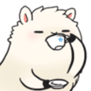 fanthropologist avatar