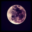 faolmorfaidheach avatar