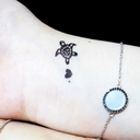 farah1234ali-blog avatar