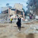 farahgazasblog avatar