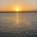 farfallalibera avatar