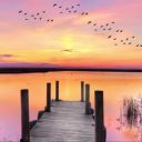 farodelfindelmundo avatar