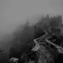 faronpromo-blog avatar