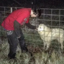 fartingislikeating avatar