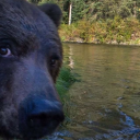 fartsanddarts avatar