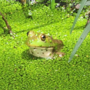 fasharefoodnotfriends avatar