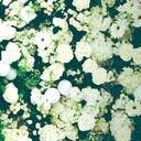 fashion-beats avatar