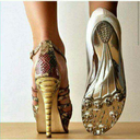 fashion-fitness-and-health avatar