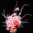 fashion-is-fleeting avatar