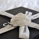 fashionistas--network avatar