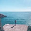 fastandfuriouswolf avatar