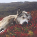 fastforwardtotwenty12 avatar