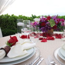 fat-and-nerdygirl avatar