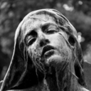 fat-fluffy-cat avatar