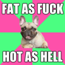 fatacceptancefrenchie avatar