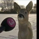 fatal-optimist avatar