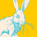 fatalsoftness avatar