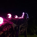 fate-huntress avatar