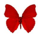 fatedbeginnings avatar