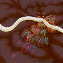 fateldritchdiety avatar