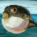 fatfish201 avatar