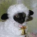 fatgingerbitch avatar