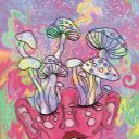 fatherlessmoth avatar