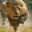 fathersappointed avatar