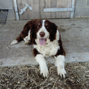 fatiguefriday avatar