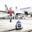 fatima-hamouda avatar