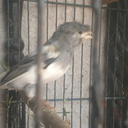 fatimafuentes29 avatar