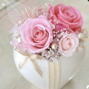 fatma-alsuqry avatar