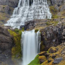 fatterfatterloser avatar